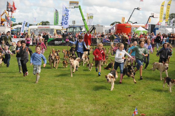 honiton show3 1298670634